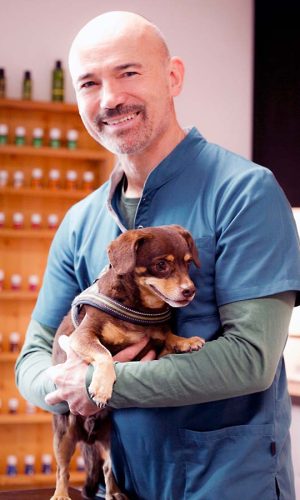 Dr.med .vet Stefan Wolf